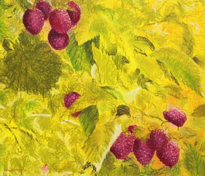 Lumen 14